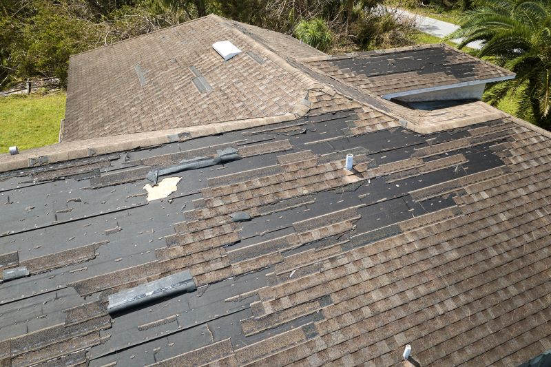 Damaged Shingle Replacement